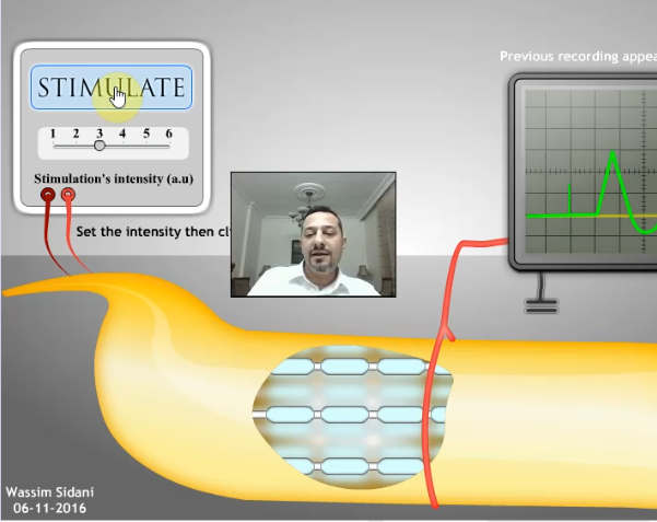 global potential screencast